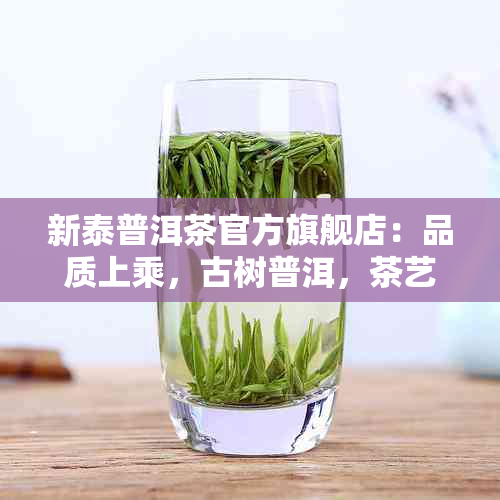 新泰普洱茶官方旗舰店：品质上乘，古树普洱，茶艺体验，收藏佳品