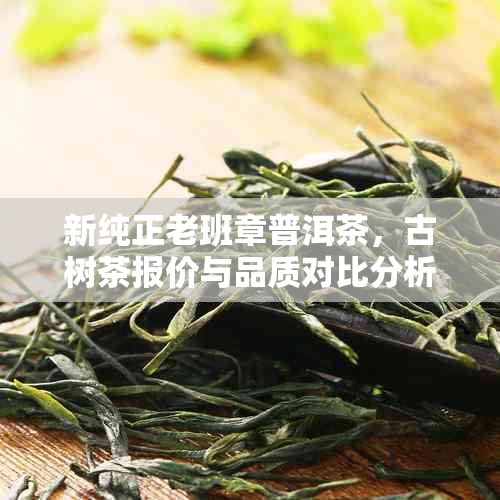 新纯正老班章普洱茶，古树茶报价与品质对比分析