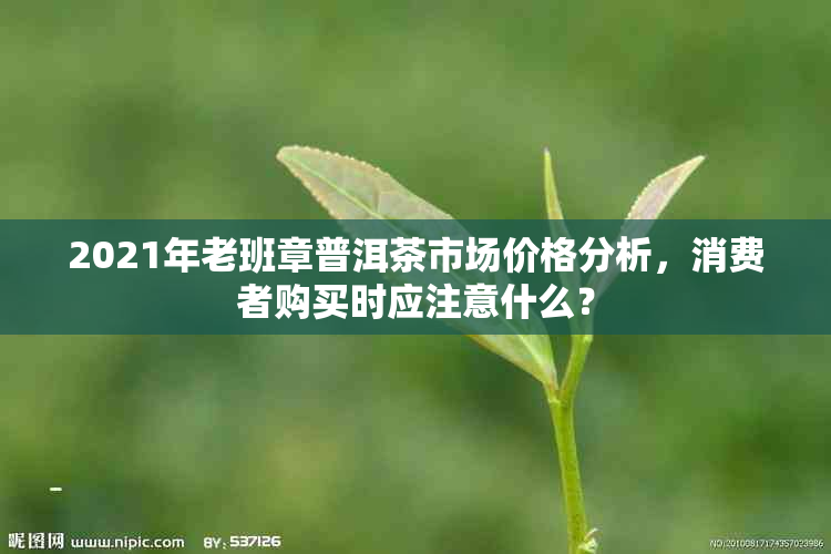 2021年老班章普洱茶市场价格分析，消费者购买时应注意什么？