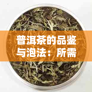 普洱茶的品鉴与泡法：所需知识和技能一览