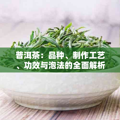 普洱茶：品种、制作工艺、功效与泡法的全面解析