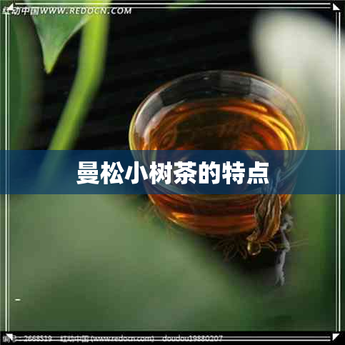 曼松小树茶的特点