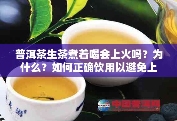 普洱茶生茶煮着喝会上火吗？为什么？如何正确饮用以避免上火问题？