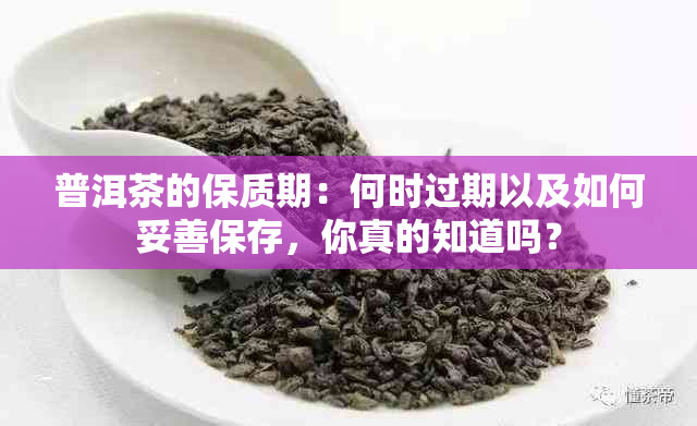 普洱茶的保质期：何时过期以及如何妥善保存，你真的知道吗？