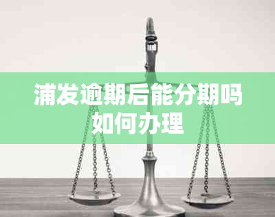 浦发逾期后能分期吗如何办理