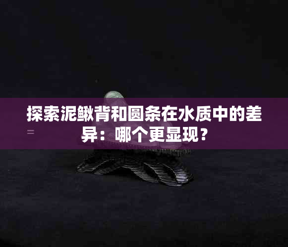 探索泥鳅背和圆条在水质中的差异：哪个更显现？