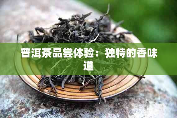 普洱茶品尝体验：独特的香味道