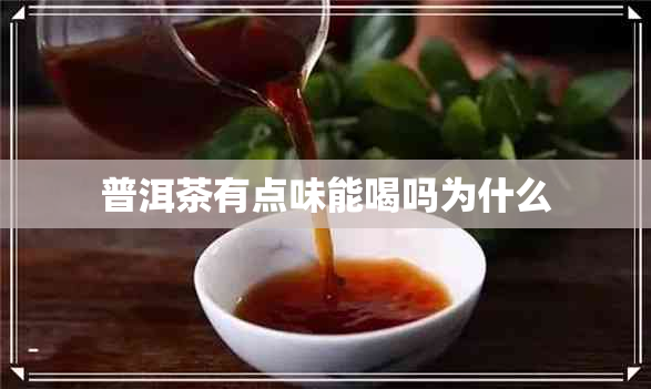 普洱茶有点味能喝吗为什么