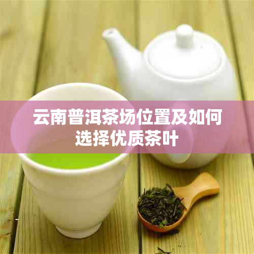 云南普洱茶场位置及如何选择优质茶叶