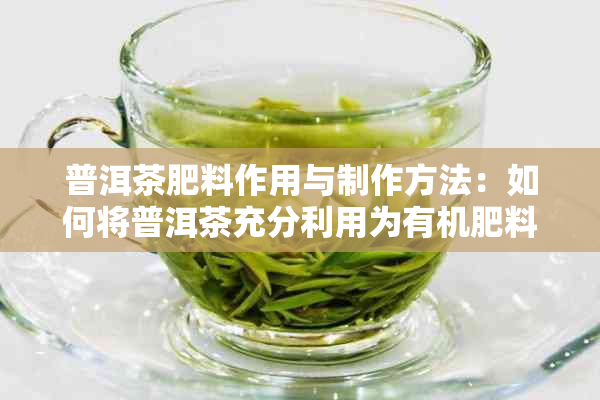 普洱茶肥料作用与制作方法：如何将普洱茶充分利用为有机肥料？