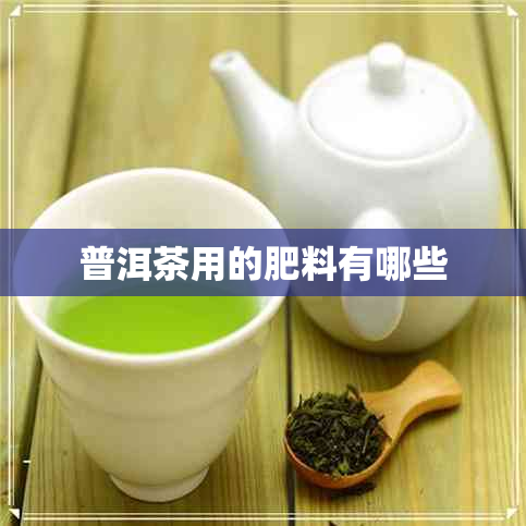 普洱茶用的肥料有哪些