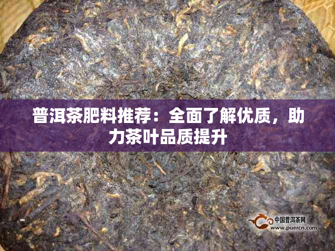 普洱茶肥料推荐：全面了解优质，助力茶叶品质提升