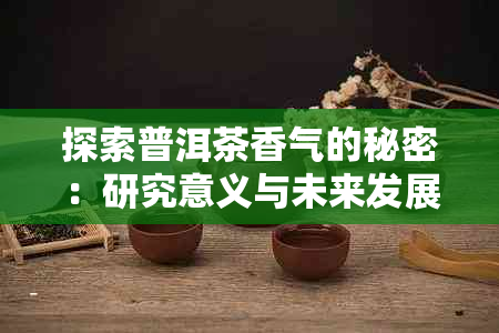 探索普洱茶香气的秘密：研究意义与未来发展趋势