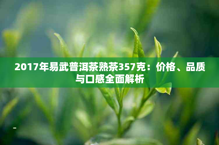 2017年易武普洱茶熟茶357克：价格、品质与口感全面解析