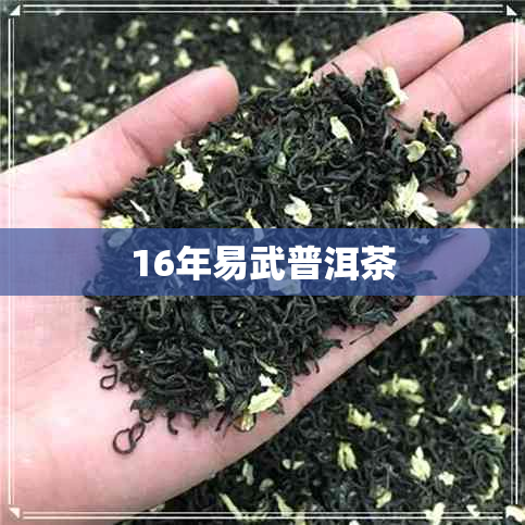 16年易武普洱茶