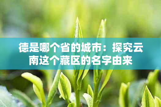 德是哪个省的城市：探究云南这个藏区的名字由来