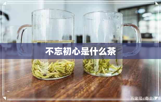 不忘初心是什么茶