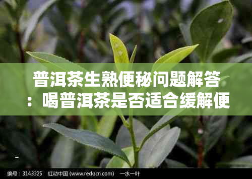 普洱茶生熟便秘问题解答：喝普洱茶是否适合缓解便秘及适用人群