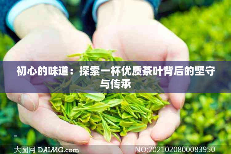 初心的味道：探索一杯优质茶叶背后的坚守与传承