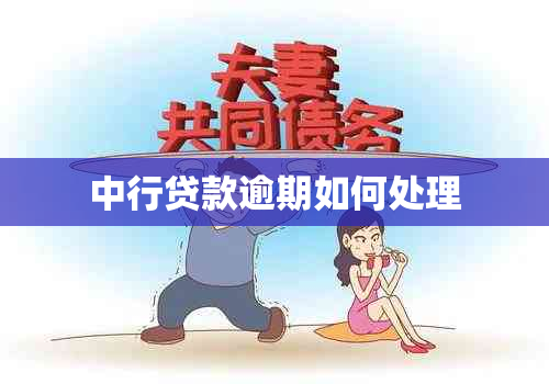 中行贷款逾期如何处理