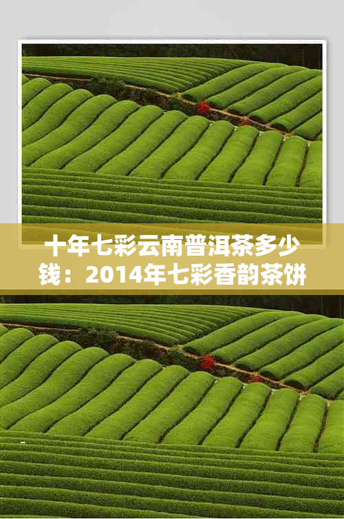 十年七彩云南普洱茶多少钱：2014年七彩香韵茶饼价格表