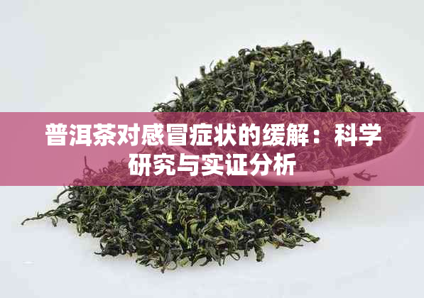 普洱茶对感冒症状的缓解：科学研究与实证分析