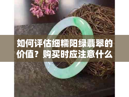 如何评估细糯阳绿翡翠的价值？购买时应注意什么？