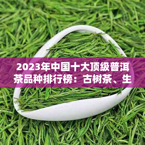 2023年中国十大顶级普洱茶品种排行榜：古树茶、生茶、熟茶等多方面评选