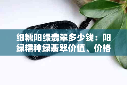 细糯阳绿翡翠多少钱：阳绿糯种绿翡翠价值、价格及级别解析