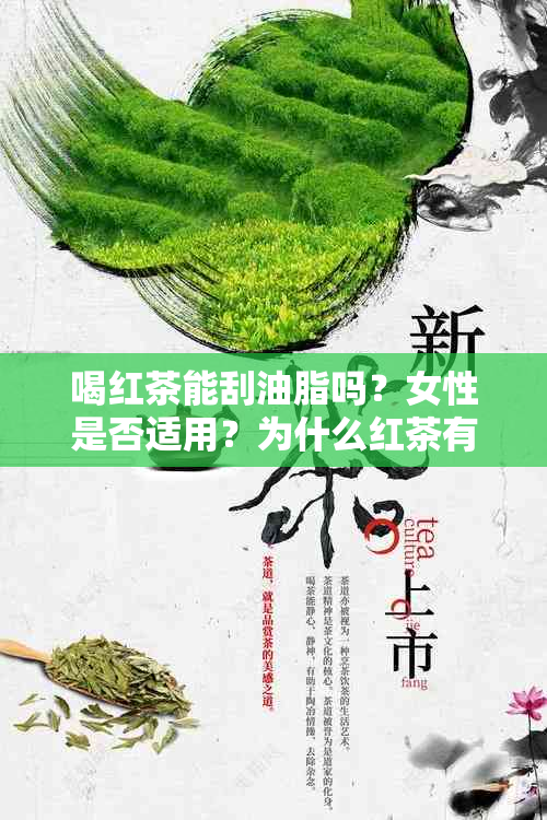 喝红茶能刮油脂吗？女性是否适用？为什么红茶有此功效？