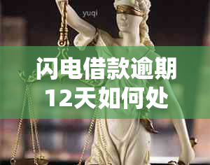 闪电借款逾期12天如何处理