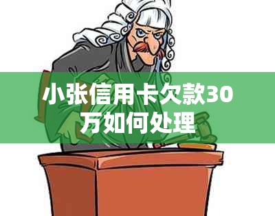 小张信用卡欠款30万如何处理