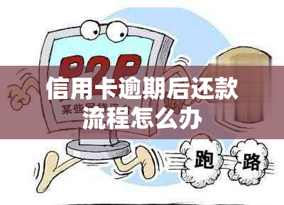 信用卡逾期后还款流程怎么办