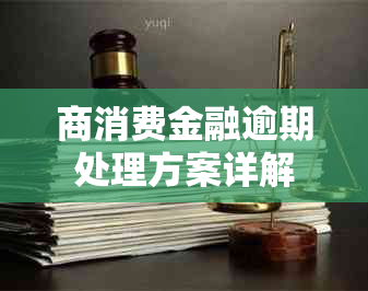 商消费金融逾期处理方案详解