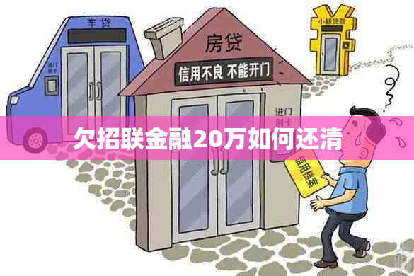 欠招联金融20万如何还清