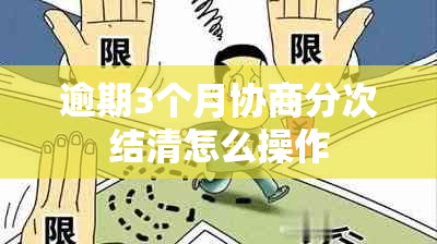 逾期3个月协商分次结清怎么操作