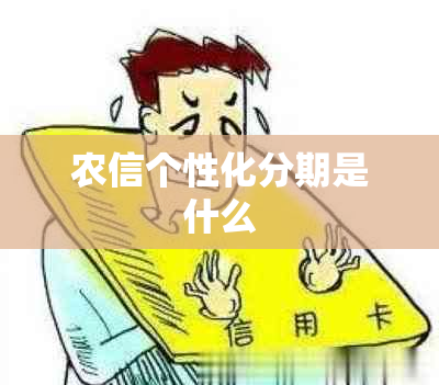 农信个性化分期是什么