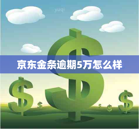 京东金条逾期5万怎么样