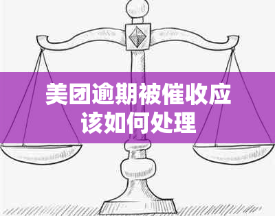 美团逾期被应该如何处理