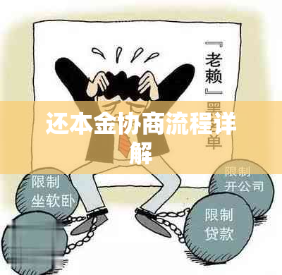 还本金协商流程详解