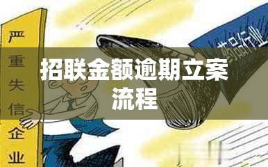 招联金额逾期立案流程