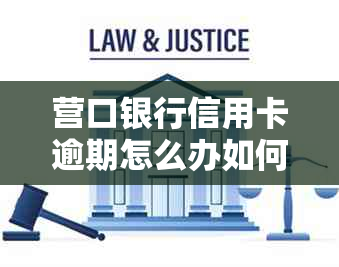 营口银行信用卡逾期怎么办如何解决逾期问题