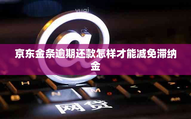 京东金条逾期还款怎样才能减免滞纳金