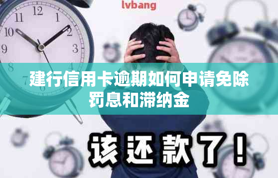 建行信用卡逾期如何申请免除罚息和滞纳金