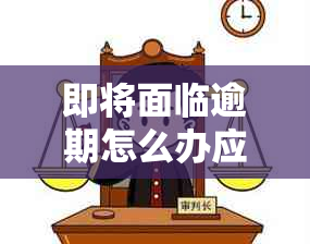 即将面临逾期怎么办应对方法分享