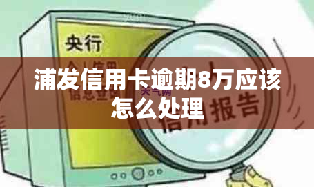 浦发信用卡逾期8万应该怎么处理