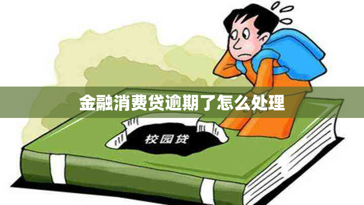 金融消费贷逾期了怎么处理