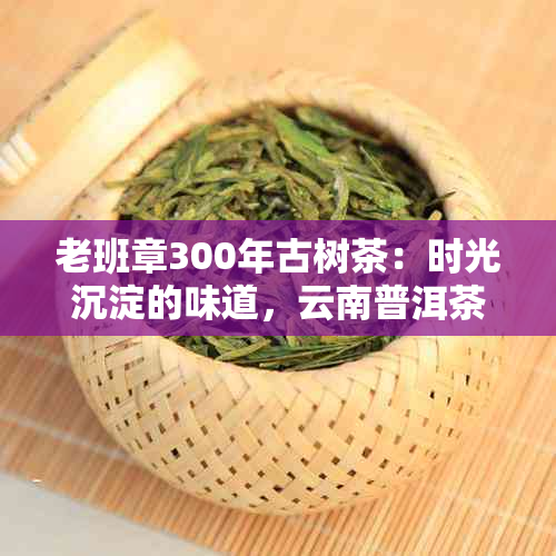 老班章300年古树茶：时光沉淀的味道，云南普洱茶的传承之美