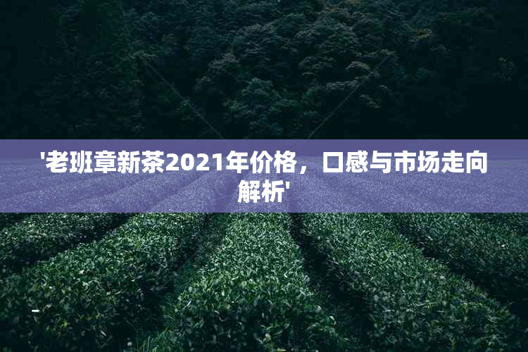 '老班章新茶2021年价格，口感与市场走向解析'