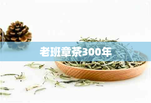 老班章茶300年